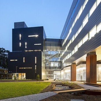 臥龍崗大學